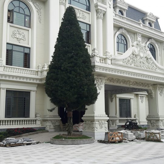 https://cbhitech.com.vn/wp-content/uploads/2015/07/20160329_093056_resized-540x540.jpg